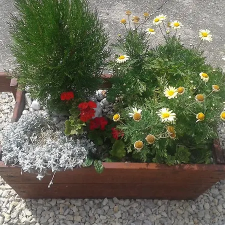 Stilus Apartman Szekszárd