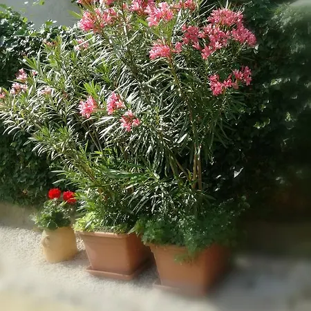 Stilus Apartman * Szekszárd
