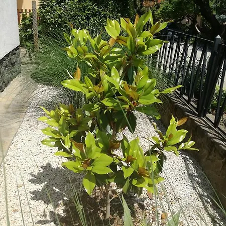 Stilus Apartman Apartment Szekszárd